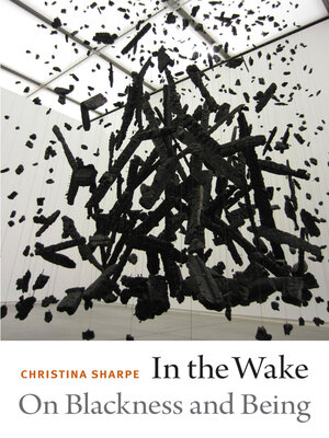cover image of In the Wake